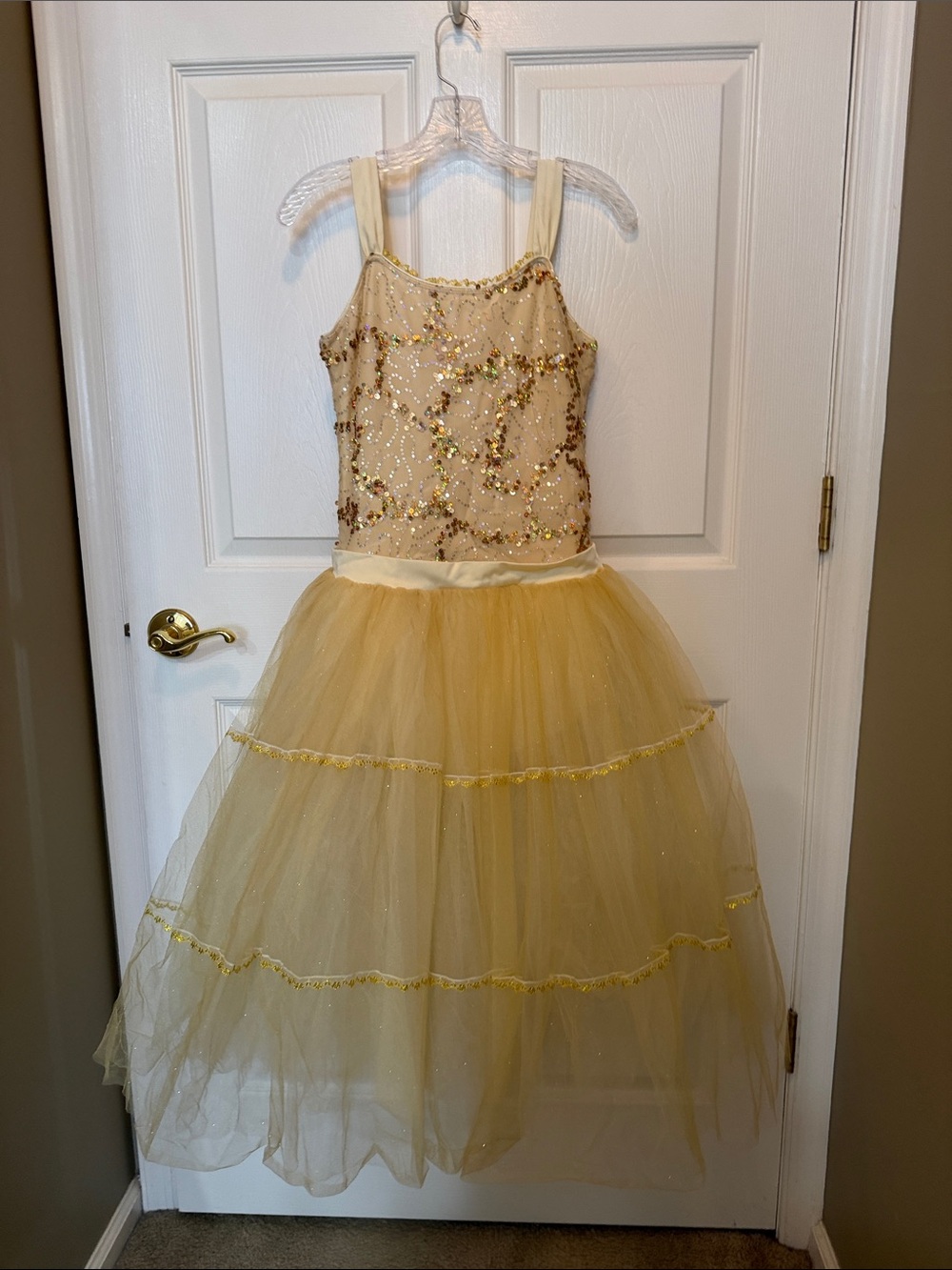 Revolution Sparkling Gold Tulle Costume Dress